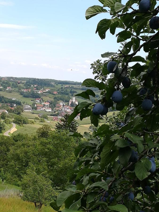 Kronprinz-Rudolf-Hof Unterlamm Екстер'єр фото